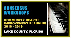 Consensus Workshops - Community Health Improvement Planning 2016-2019 - Lake County, Florida